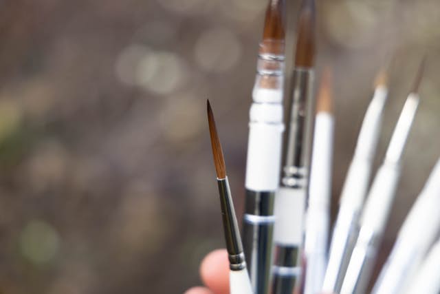 A variety of travel brushes fanned out with a long, slim brush in the foreground.
