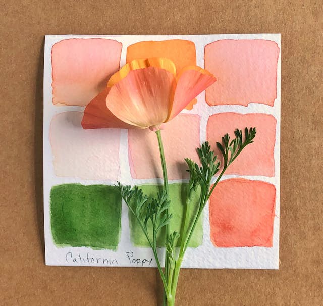 California Poppy swatches by Lorene Edwards Forkner.