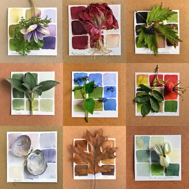 Garden studies by Lorene Edwards Forkner.